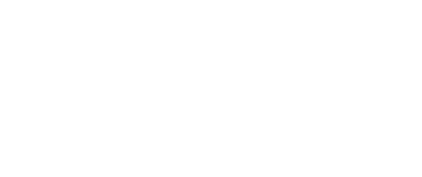 SOA Professionals
